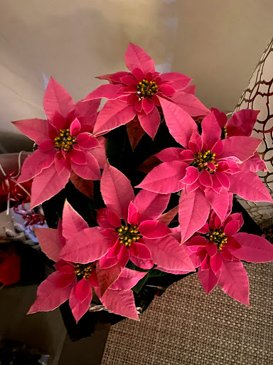 Garden Center «Quality Gardens», reviews and photos, 409 PA-228, Valencia, PA 16059, USA