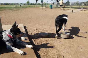 John Stiff Memorial Dog Park image