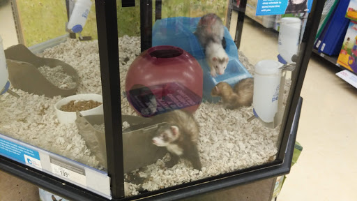Pet Supply Store «Petco Animal Supplies», reviews and photos, 8404 Eager Rd b, Brentwood, MO 63144, USA