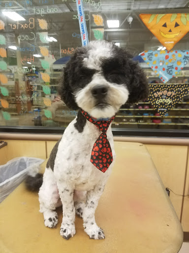 Pet Supply Store «PetSmart», reviews and photos, 1300 John F Kennedy Rd, Dubuque, IA 52002, USA