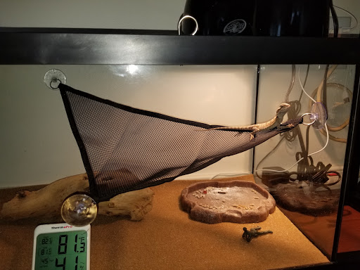 Tropical Fish Store «J B Tropical Fish», reviews and photos, 1950 N Black Horse Pike, Williamstown, NJ 08094, USA