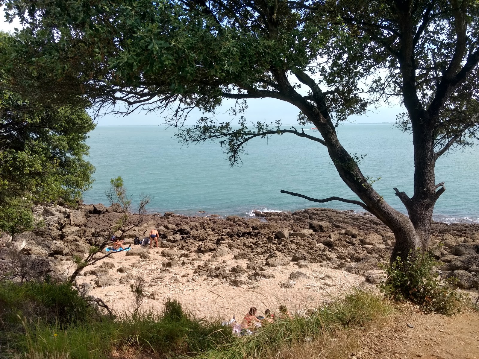 Plage Baby'in fotoğrafı doğal alan içinde bulunmaktadır