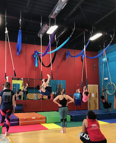 Cirque de Vol Aerial & Circus Community - 300 W Hargett St #40, Raleigh, NC 27601