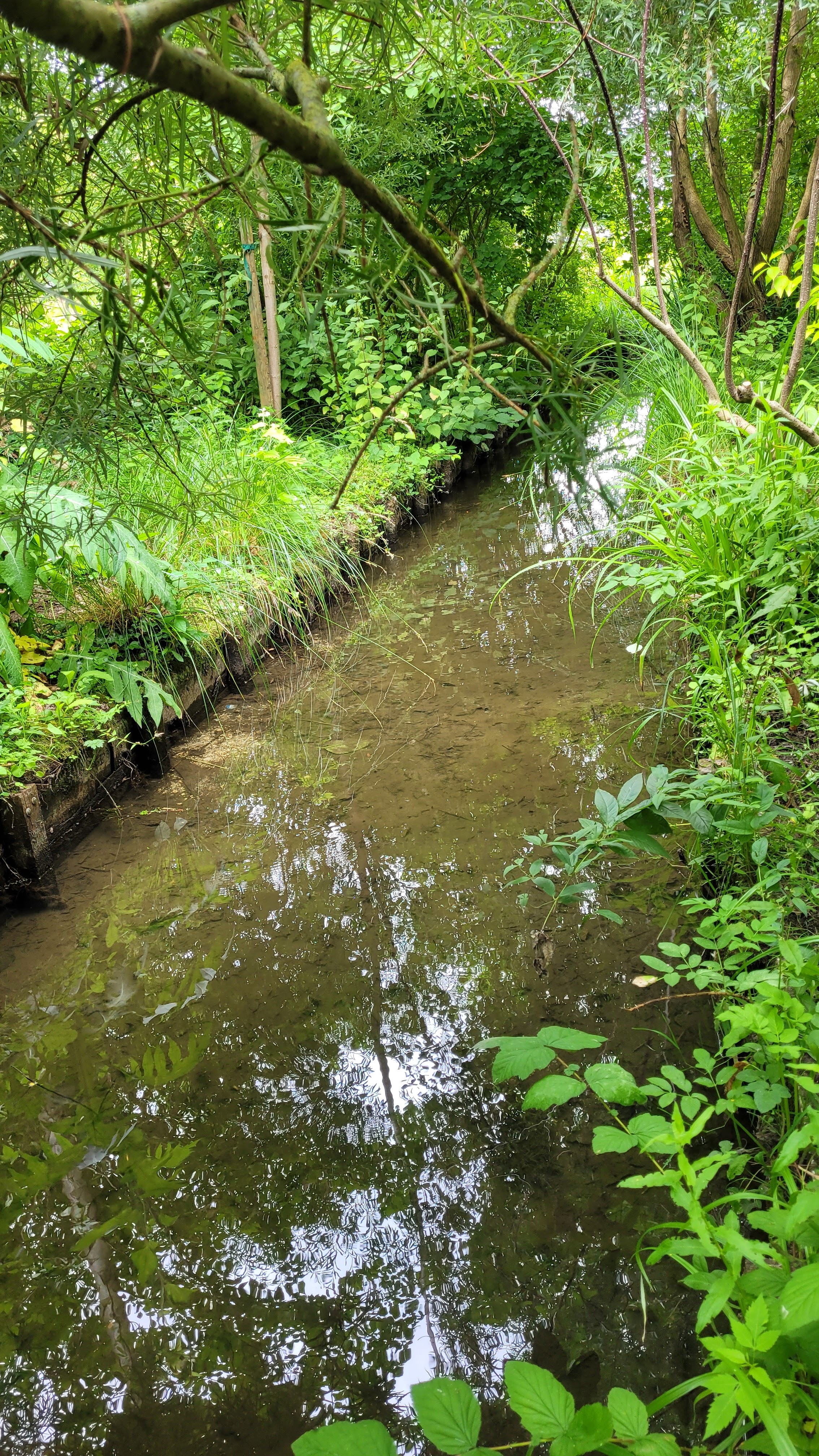 Photo n° 27 de l'avis de Laurent.R fait le 13/05/2023 à 13:11
