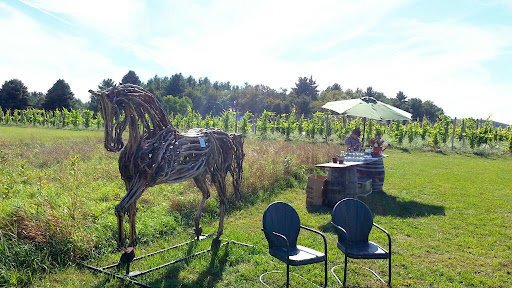 Vineyard «Black Birch Vineyard/ Black Birch Winery», reviews and photos, 108-109 Straits Rd, Hatfield, MA 01066, USA