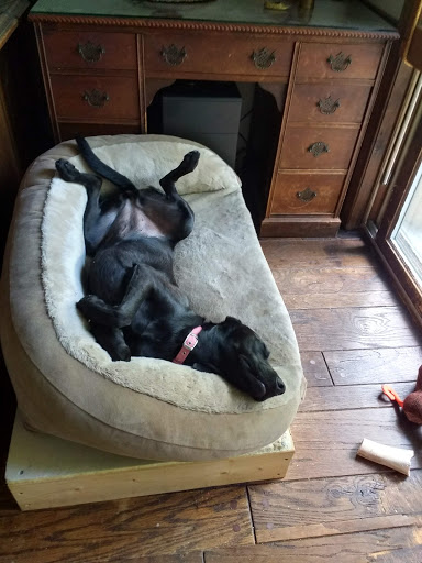 Boutique Hotel «Eleven Gables Inn and Cottage», reviews and photos, 493 Wrigley Dr, Lake Geneva, WI 53147, USA