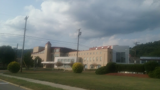 Performing Arts Group «Lincoln Park Performing Arts Center», reviews and photos