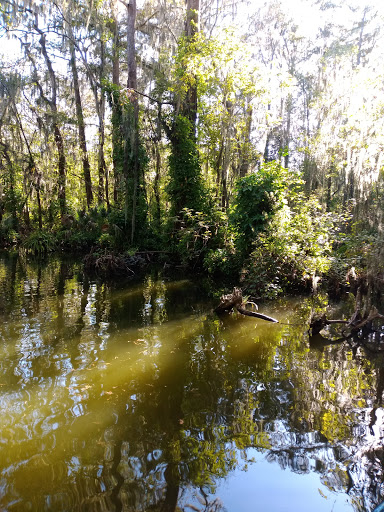 Tourist Attraction «Premier Boat Tours», reviews and photos, 100 Alexander St, Mt Dora, FL 32757, USA