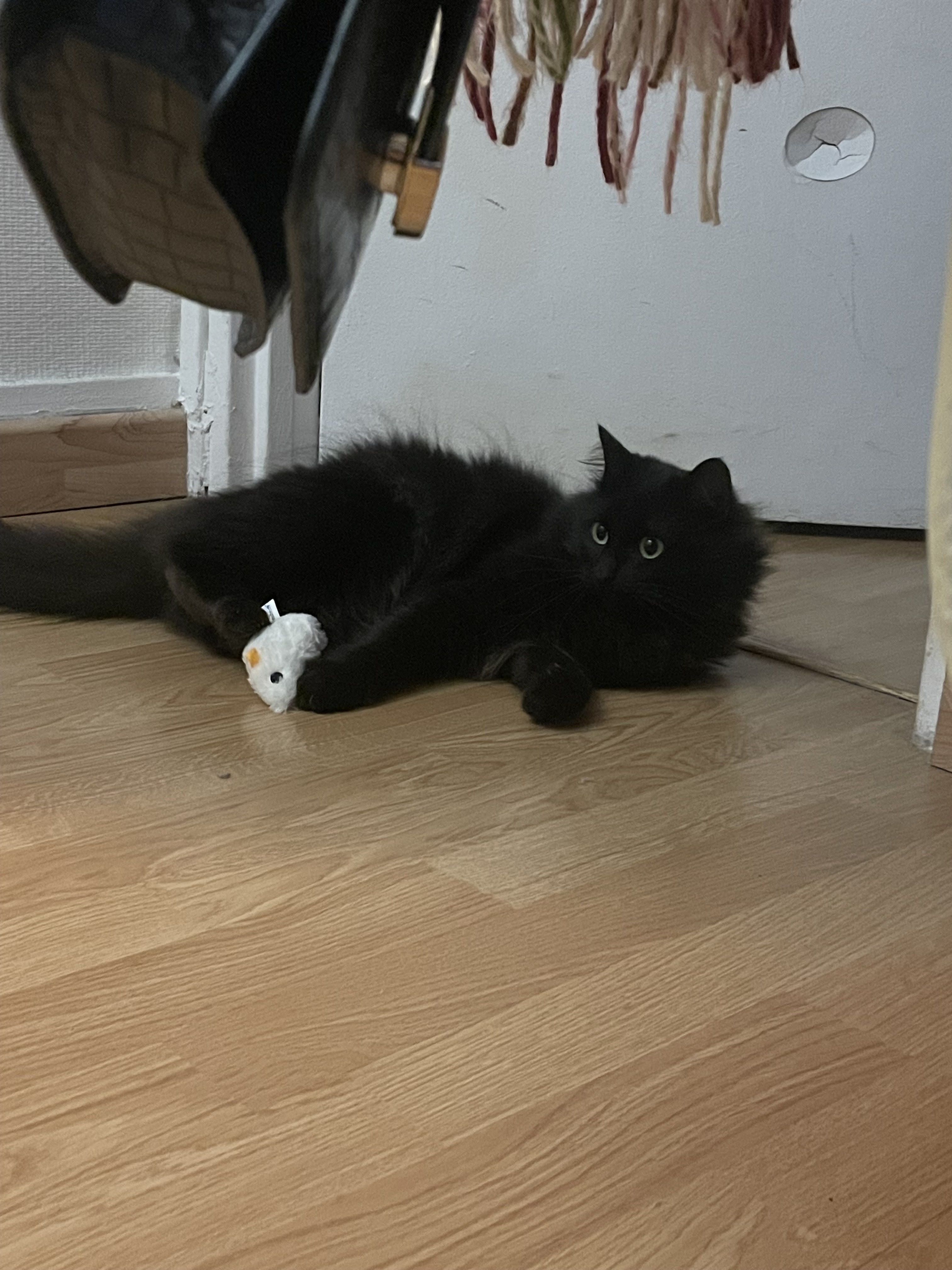 Photo n° 3 de l'avis de Noëllie.i fait le 14/11/2023 à 20:15
