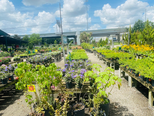 Houston Plants & Garden World