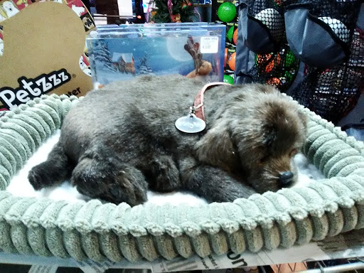 Toy Store «Learning Express Toys of Shreveport», reviews and photos, 5733 Youree Dr, Shreveport, LA 71105, USA