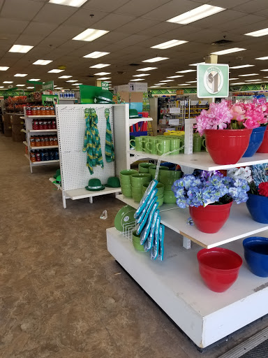 Dollar Store «Dollar Tree», reviews and photos, 13477 Hall Rd, Utica, MI 48315, USA