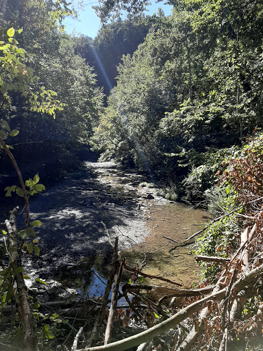 Tour Agency «Experience! The Finger Lakes», reviews and photos, 501 Warren Rd, Ithaca, NY 14850, USA