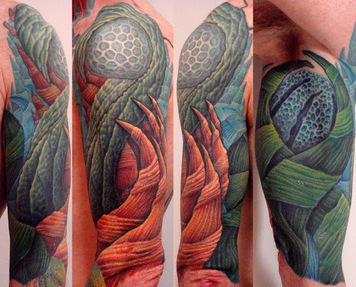 Explore bison tattoo ideas, creative tattoo ideas in Virginia Beach, available at Studio Evolve