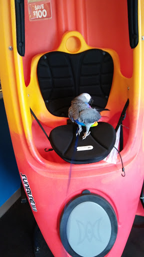 Pet Supply Store «PetSmart», reviews and photos, 1520 Pleasant Valley Rd, Manchester, CT 06042, USA