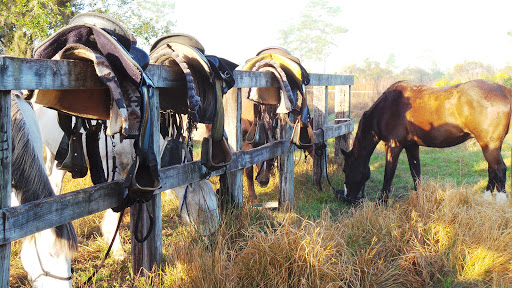Tourist Attraction «Forever Florida», reviews and photos, 4755 North Kenansville Road, St Cloud, FL 34773, USA