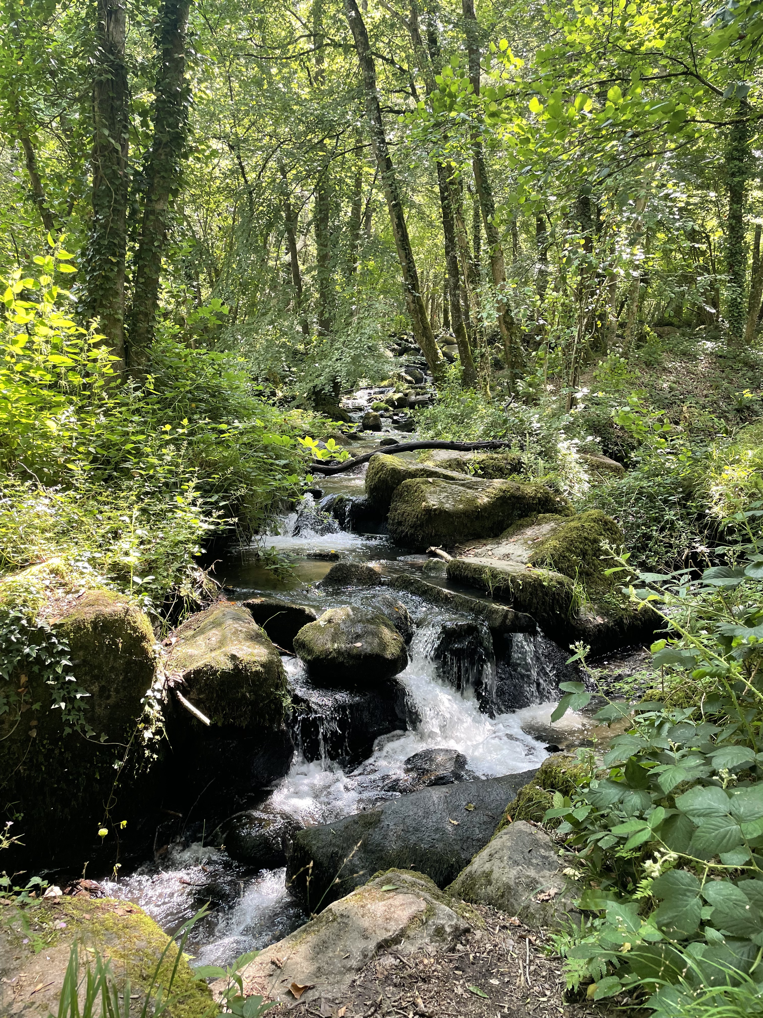 Photo n° 2 de l'avis de laurent.I fait le 25/06/2023 à 09:29