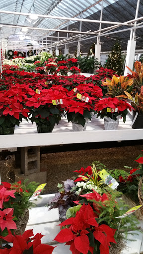 Florist «Countryside Flower Shop», reviews and photos, 5301 E Terra Cotta Ave, Crystal Lake, IL 60014, USA