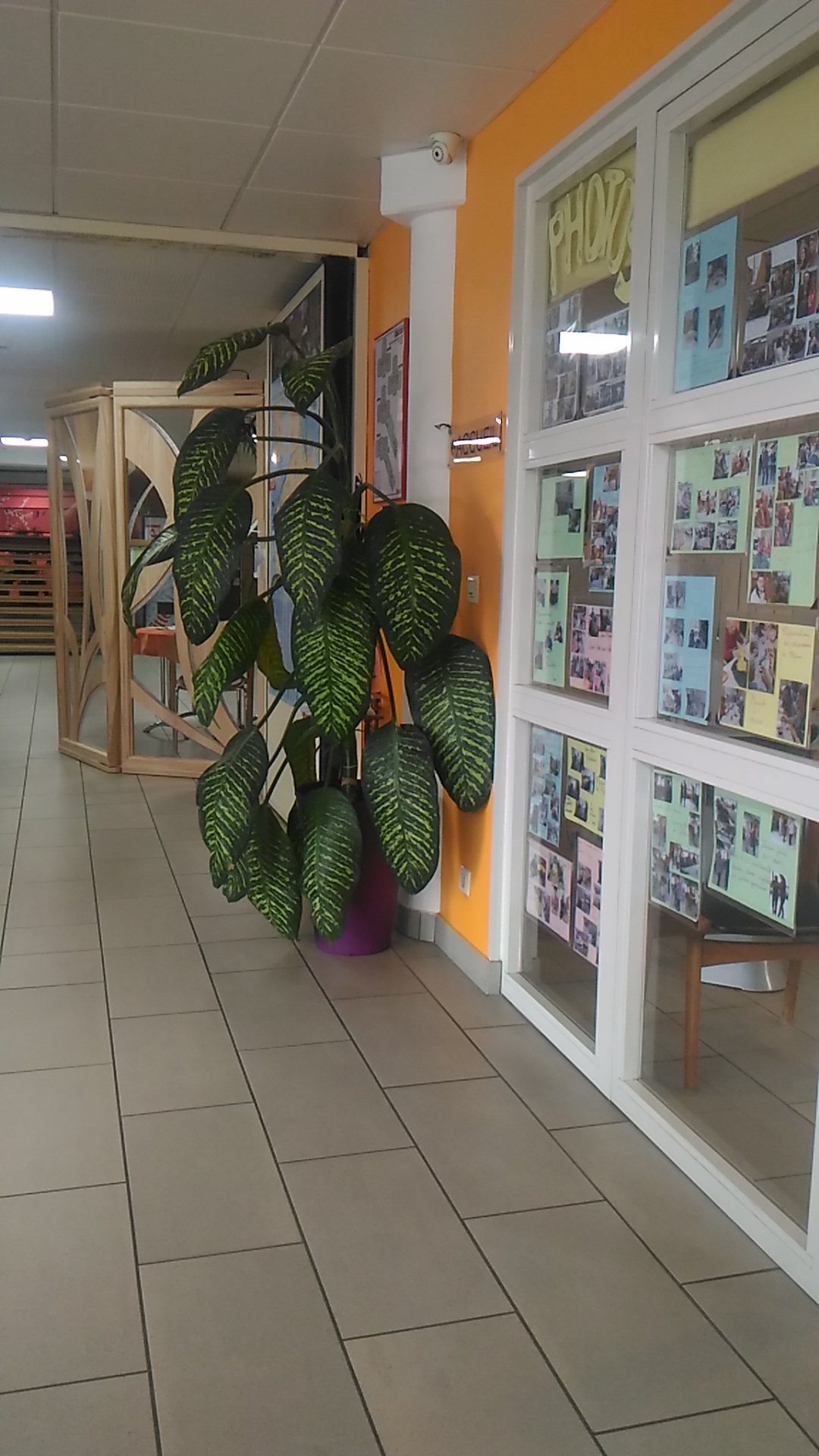 Photo n° 3 de l'avis de Pärazyte. fait le 16/05/2018 à 09:55
