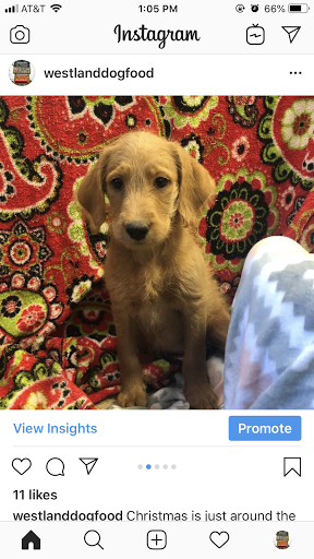 Pet Supply Store «Westland Dog Food Co Inc», reviews and photos, 37687 Ford Rd, Westland, MI 48185, USA