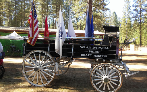 Fairground «Nevada County Fairgrounds», reviews and photos, 11228 McCourtney Rd, Grass Valley, CA 95949, USA