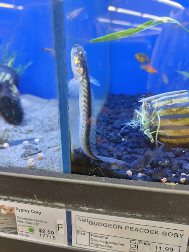 Pet Supply Store «IncrediPet», reviews and photos, 306 Southland Dr, Lexington, KY 40503, USA