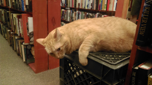 Used Book Store «Downtown Books Bought & Sold», reviews and photos, 624 N Broadway St, Milwaukee, WI 53212, USA