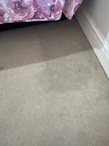 Cleaner Move Woking Carpet Cleaning - Woking