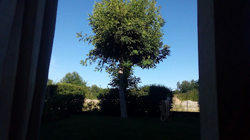B&B L'angolo à Calino