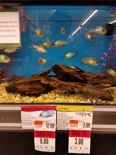 Pet Supply Store «Pet Supplies Plus», reviews and photos, 4403 Southmont Way Unit 4, Easton, PA 18045, USA