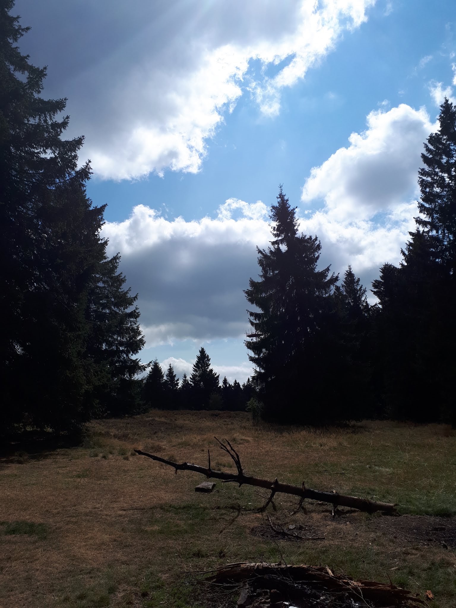 Photo n° 3 de l'avis de Cel.n fait le 20/08/2018 à 21:26