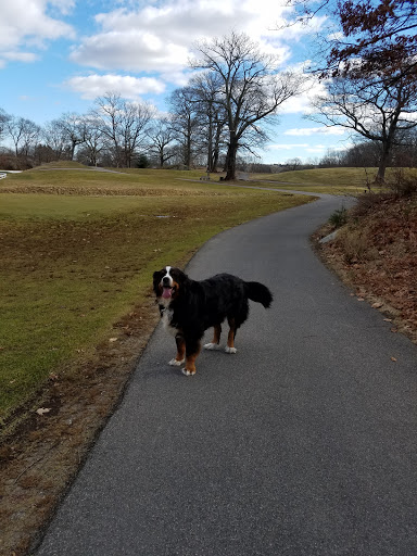 Golf Course «George Wright», reviews and photos, 420 West St, Hyde Park, MA 02136, USA