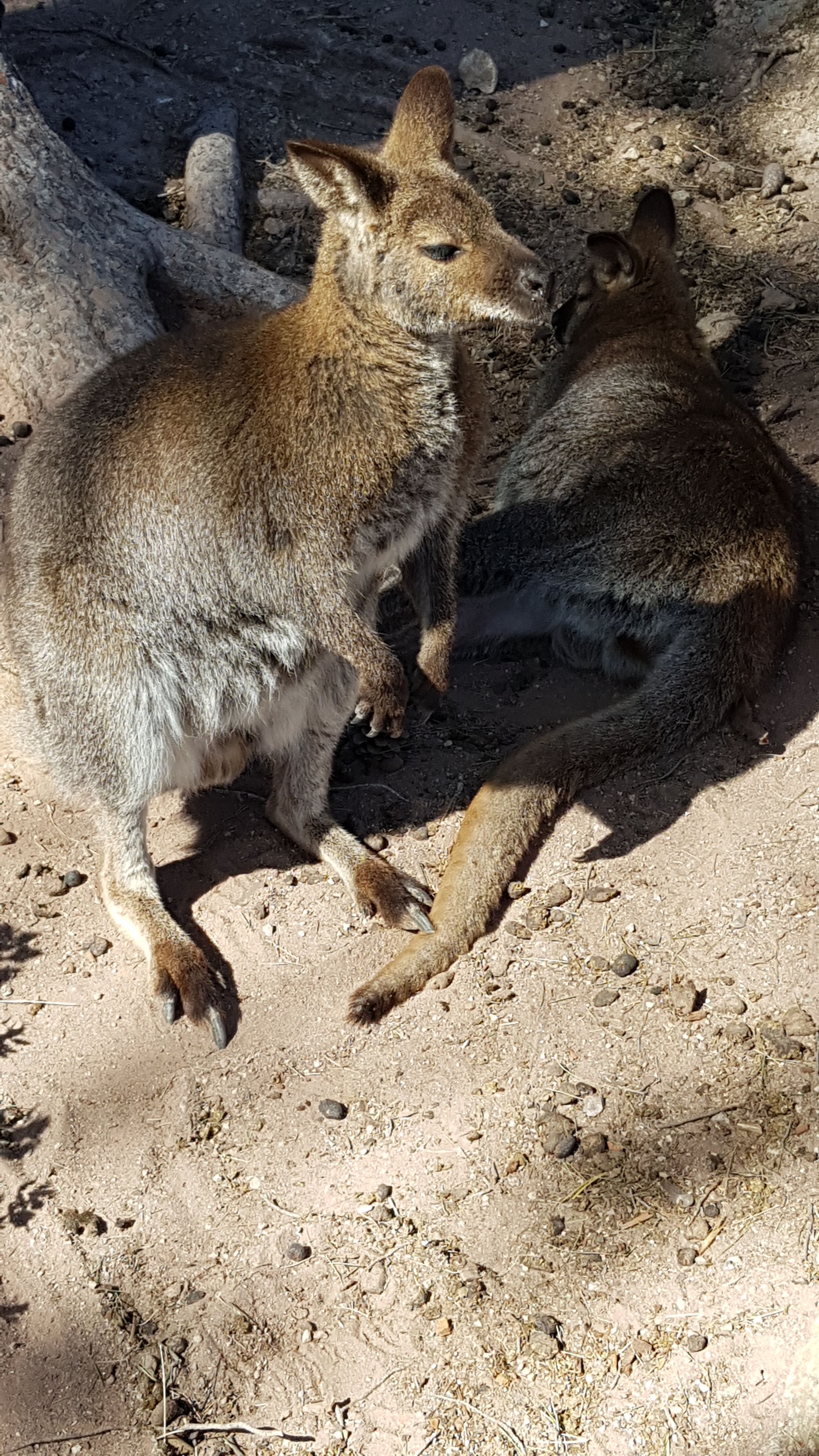 Photo n° 10 de l'avis de Julien.o fait le 17/03/2019 à 21:07