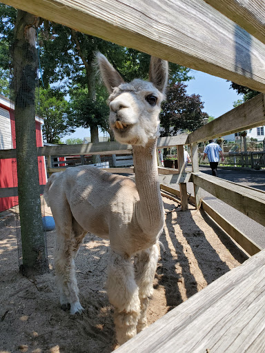 Wildlife Park «Wildlife & Ecology Center», reviews and photos, 249 Buckley Rd, Holtsville, NY 11742, USA