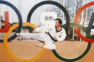US Academy of Taekwondo image