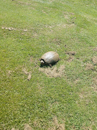 Golf Club «Reems Creek Golf Club», reviews and photos, 36 Pink Fox Cove Rd, Weaverville, NC 28787, USA