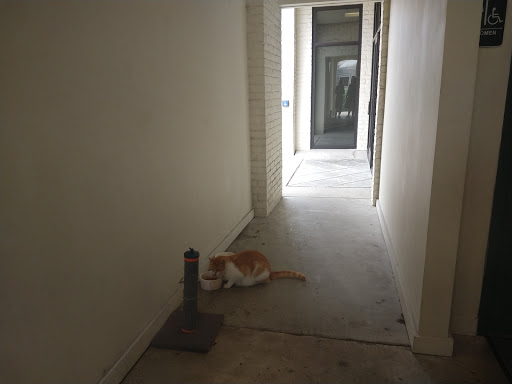 Museum «Galveston Railroad Museum», reviews and photos, 2602 Santa Fe Pl, Galveston, TX 77550, USA