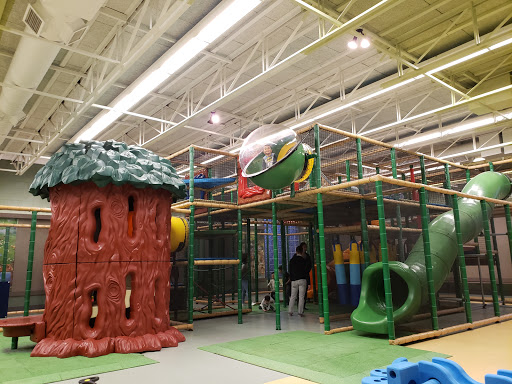 Playground Paradise Toronto