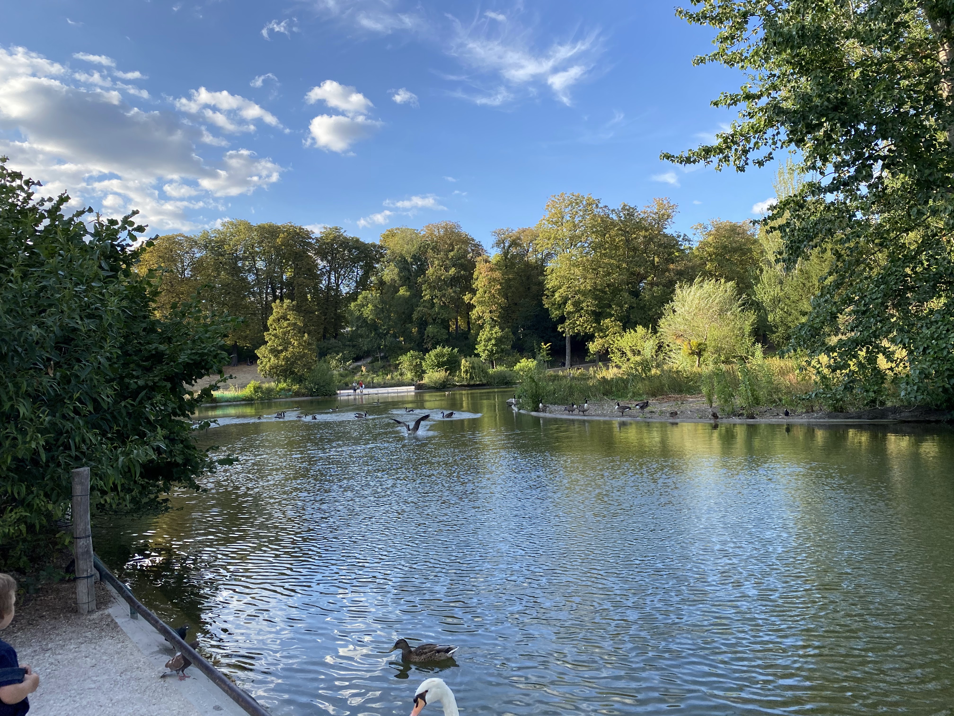 Photo n° 7 de l'avis de Gaelle.T fait le 12/02/2023 à 10:18