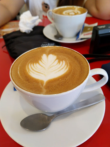 The Cat Cafe - Bugis - Singapore