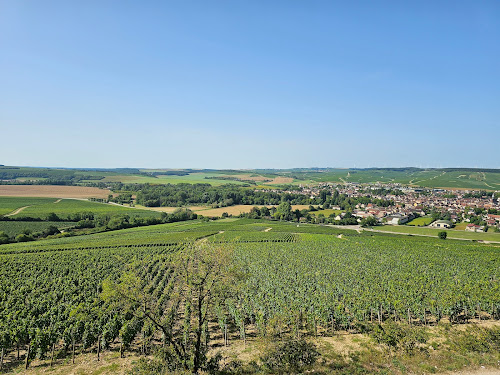 attractions Table d'Orientation Chablis Les Clos Chablis