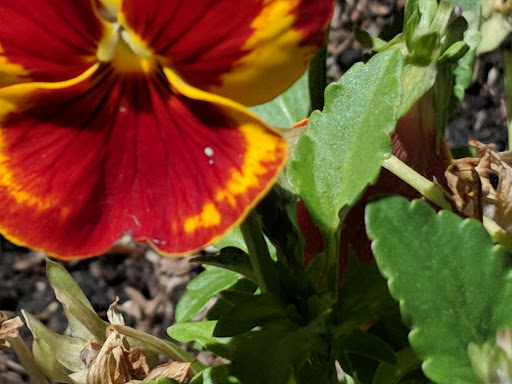 Grocery Store «South Beach Grocery», reviews and photos, 3650 Oregon Coast Hwy, South Beach, OR 97366, USA