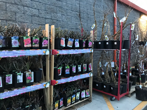 Home Improvement Store «The Home Depot», reviews and photos, 401 S Main St, Milltown, NJ 08850, USA