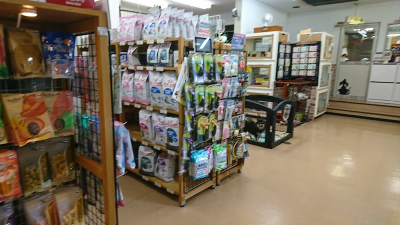 ノアズアーク山科本店