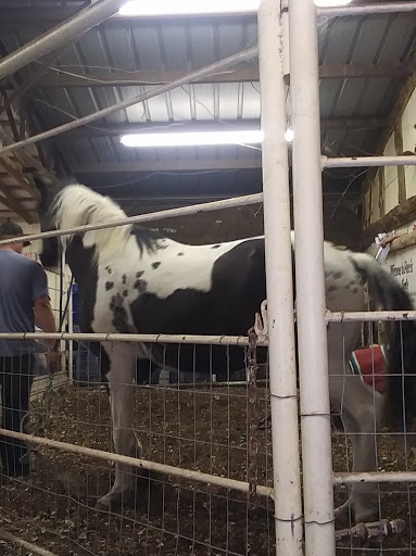 Paris Horse and Tack