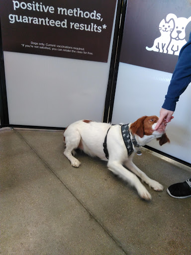 Pet Supply Store «Petco Animal Supplies», reviews and photos, 3430 W State St, Grand Island, NE 68803, USA