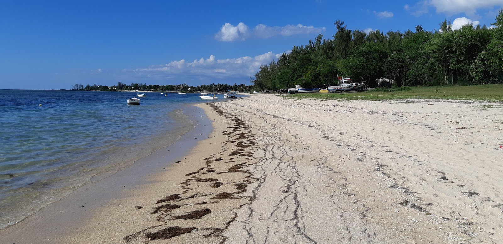 Φωτογραφία του Albion Beach με επίπεδο καθαριότητας πολύ καθαρό