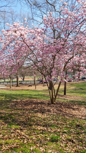 Park «Chastain Memorial Park», reviews and photos, 140 W Wieuca Rd NW, Atlanta, GA 30342, USA