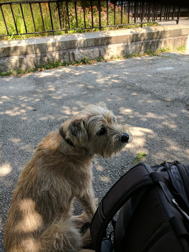 Park «Carl Schurz Park», reviews and photos, East 86th Street & East End Ave, New York, NY 10028, USA