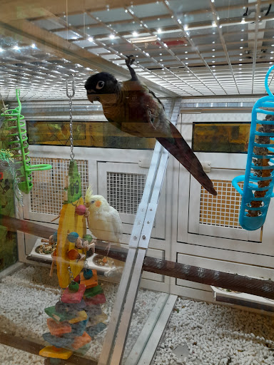 Pet Supply Store «PetSmart», reviews and photos, 39410 Argonaut Way, Fremont, CA 94538, USA